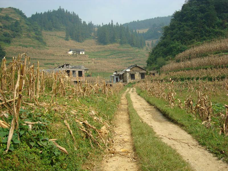 李家坡自然村(雲南省威信縣扎西鎮石龍村轄村)