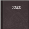 龍翔玉(真三國無雙所著小說)