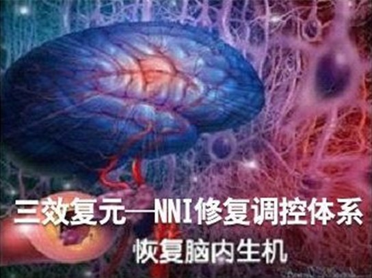 NNI(國家納米技術發展規劃)