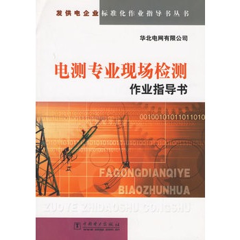 電測專業現場檢測作業指導書