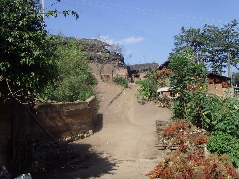 入村道路