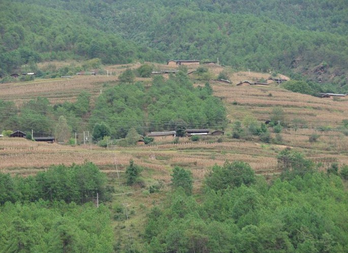 高峰自然村(雲南迪慶香格里拉縣金江鎮興隆村高峰自然村)