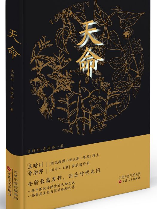 天命(王晴川、李治邦著長篇小說)