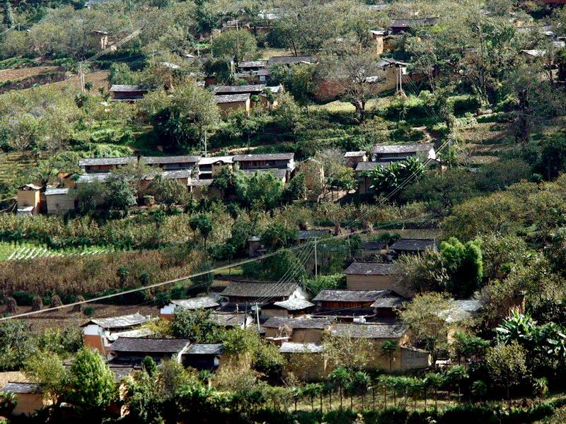 張家寨自然村(雲南省石屏縣異龍鎮張家寨自然村)