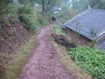 辣子溝村村情概況