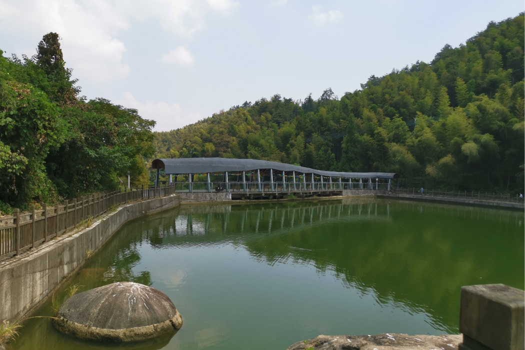 梅嶺竹海明珠風景區