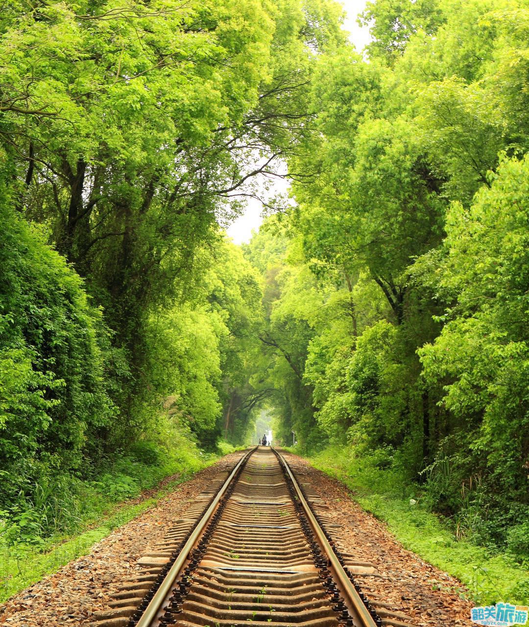 大寶山鐵路