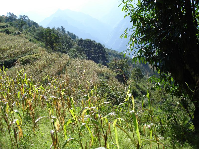 阿南孟各村