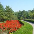 香水苑公園