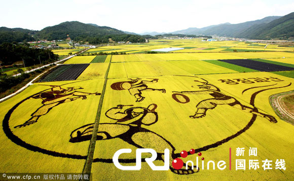 忠清北道