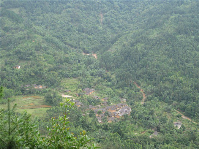 村屯全景