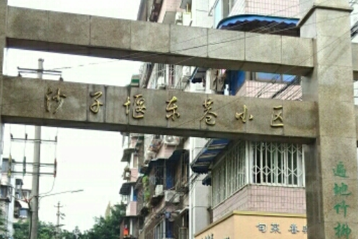 沙子堰東巷小區