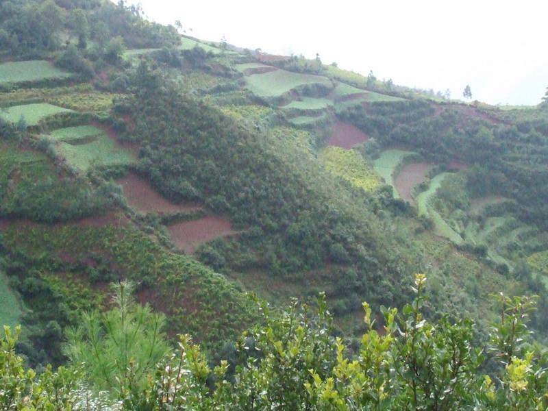 下黑苴村