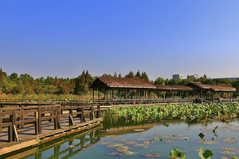 渤公島生態公園