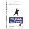 MySQL 從入門到精通（視頻教學版）