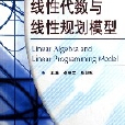 線性代數與線性規劃模型（新世紀高等職業教育文化基礎課程教材）