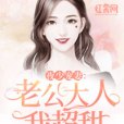 夜少寵妻：老公大人我超甜