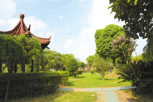 美麗的小公園