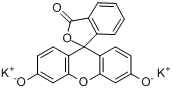 螢光素二鉀