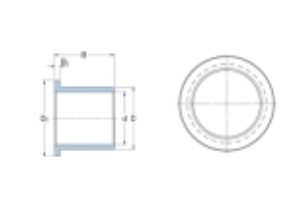 SKF PBMF170190100M1G1軸承