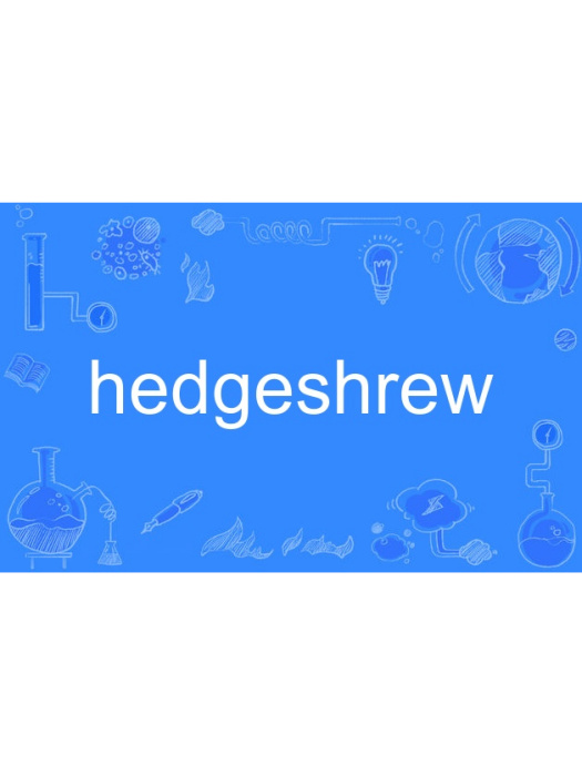 hedgeshrew