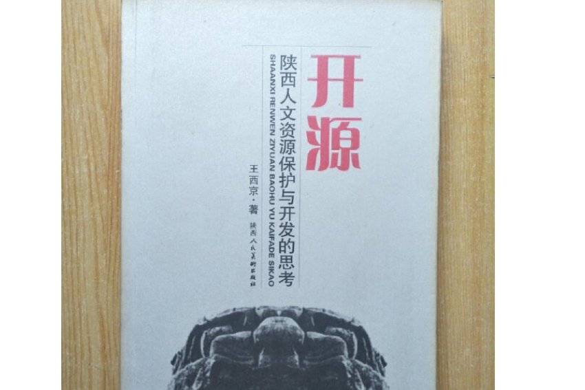 開源(2005年陝西人民美術出版社出版的圖書)