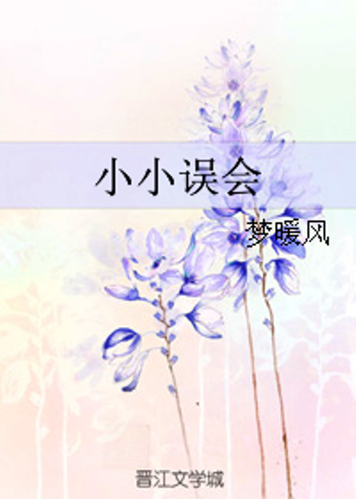 小小誤會(網路小說)