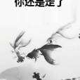 你還是走了(璀玉創作的網路小說)