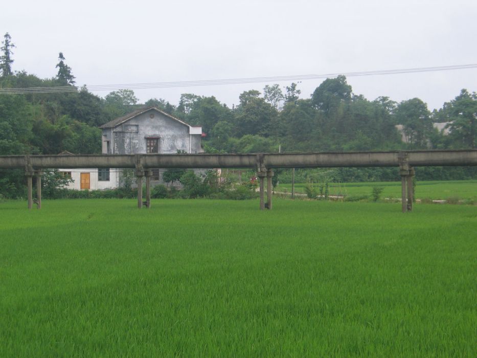 龍口鄉見樓村