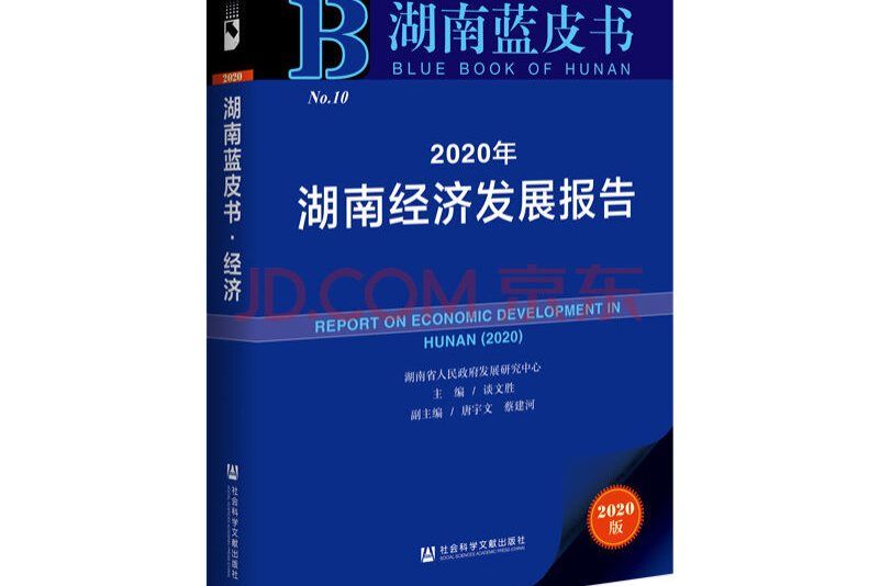 2020年湖南經濟發展報告