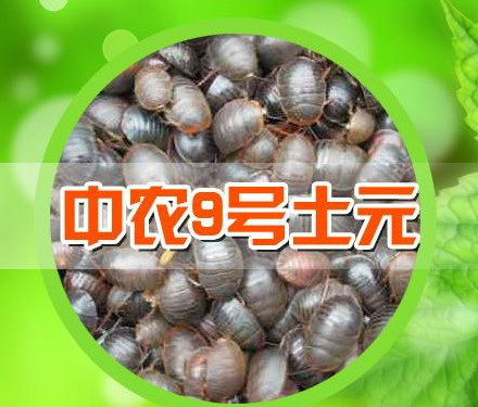 北京中農宏業生物技術中心