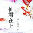 仙君在上(昭儀娘娘著網路小說)