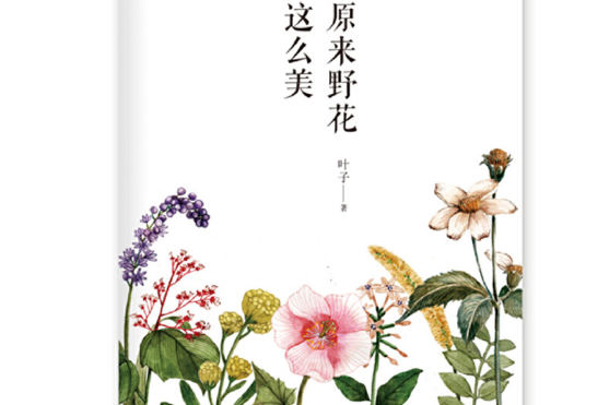 原來野花這么美(2018年東方出版社出版的圖書)