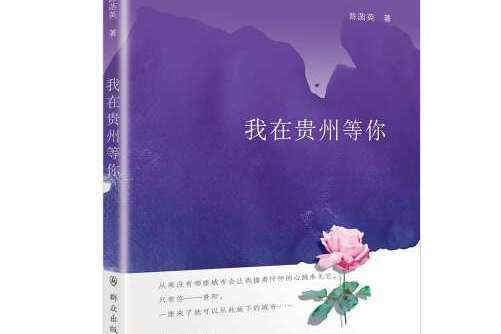 我在貴州等你(2017年民眾出版社出版的圖書)