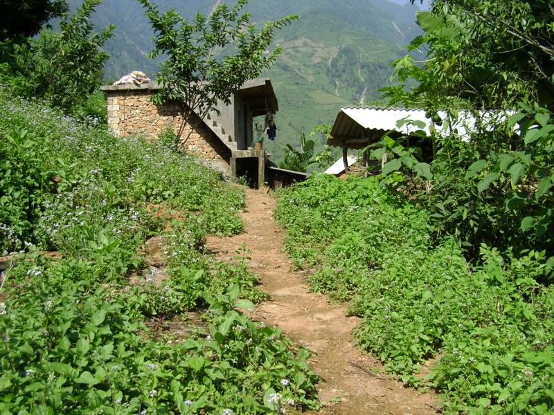 入村道路