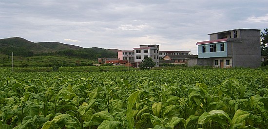 新農村面貌