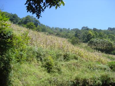 漢古鄧村