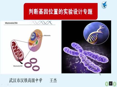 判斷基因位置實驗設計專題