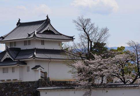 甲府市(甲府)