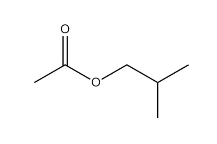 乙酸異丁酯