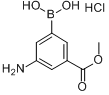 3-氨基-5-甲氧羰基苯基硼酸鹽酸鹽