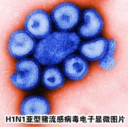 銅可抑制甲型H1N1流感病毒