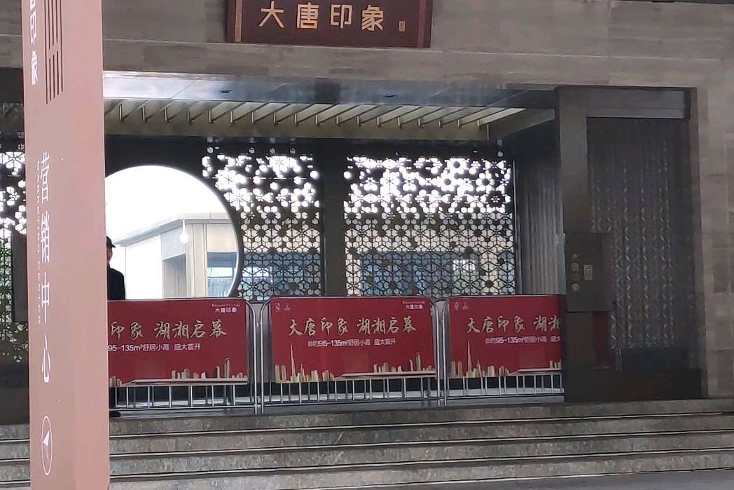 大唐印象(長沙市大唐印象小區)