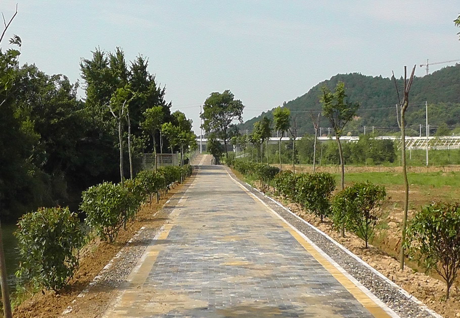 陳家院子自然村(小龍洞鄉中營行政村下轄自然村)