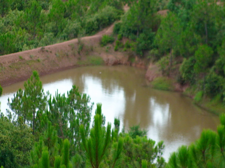 宜樹寶村