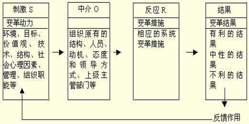 S-O-R模式