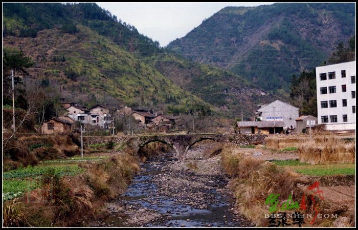 綠草古橋