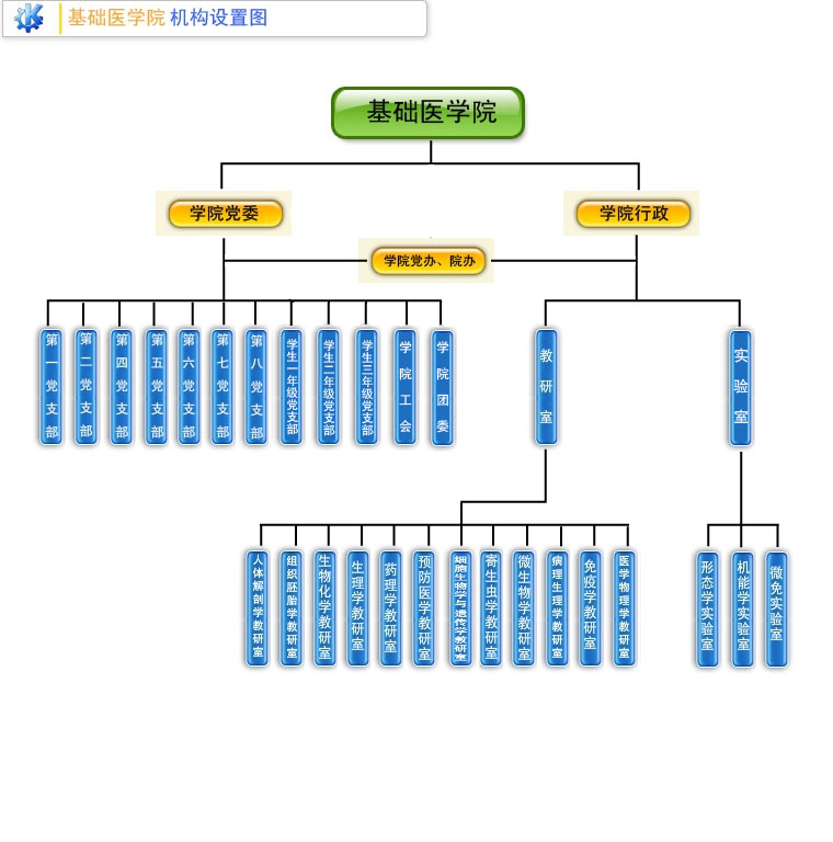 基礎醫學院機構設定圖