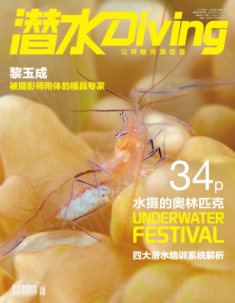 《潛水Diving》2013年期刊封面