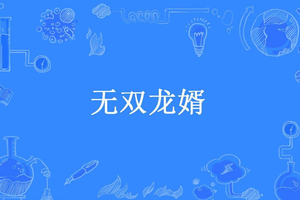 無雙龍婿(念白衣所著小說)